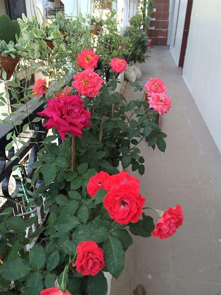The Flora Boutique Hotel Phnom Penh Exterior foto